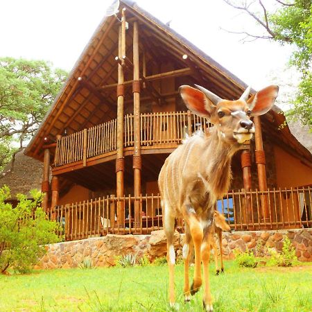 Kololo Game Reserve ヴァールウォーター エクステリア 写真