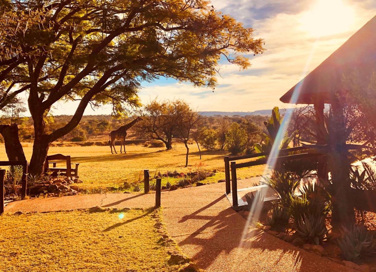 Kololo Game Reserve ヴァールウォーター エクステリア 写真
